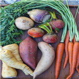 Root Veggies