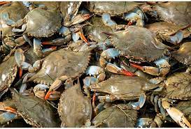 நண்டு/Crabs Small