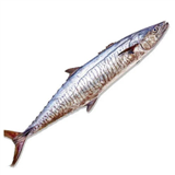 வஞ்சரம் மீன் - பெரியது