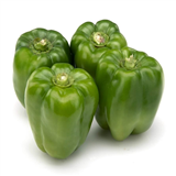 Capsicum