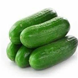 Cucumber Ooty