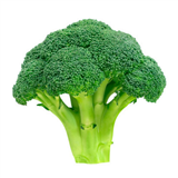 Broccoli Ooty