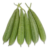 Ridge Gourd