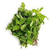 Mint Leaves