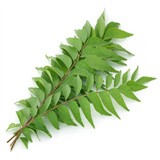 Curry Leaves
