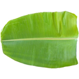 Banana Leaf